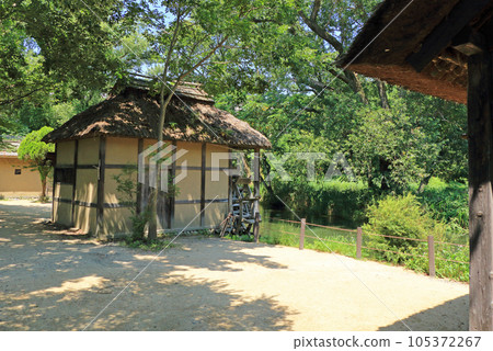 Summer in Azumino Daio Wasabi Farm Water Mill Summer in Azumino Daio Wasabi Farm Water Mill 105372267