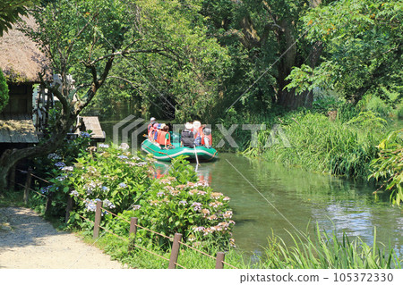 Summer in Azumino, the clear stream of Daio Wasabi Farm 105372330