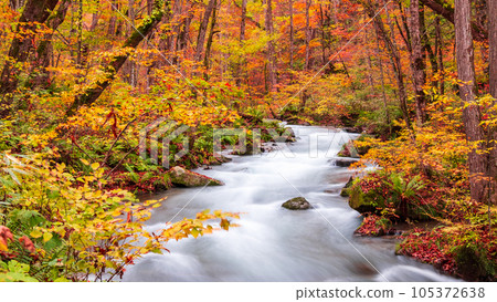 Oirase Stream (Autumn) 105372638