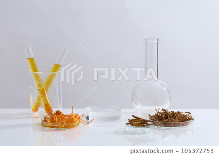Background for advertising with laboratory concept for product with ingredient from cordyceps. Some glassware containing different types of cordycep and yellow solution decorated on white background Background for advertising with laboratory concept for product with ingredient from cordyceps. Some glassware containing different types of cordycep and yellow solution decorated on white background 105372753