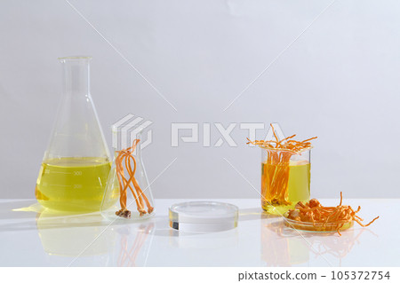 Against the white background, erlenmeyer flask and beaker filled with yellow liquid and cordyceps militaris decorated with a transparent podium for display product 105372754