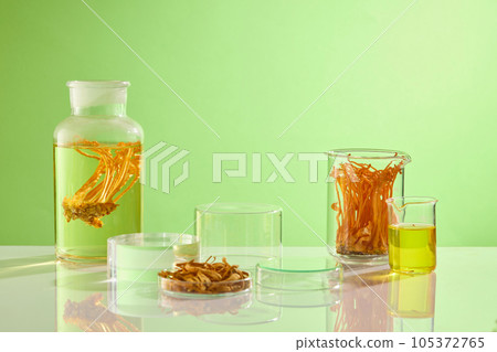 Scene for displaying products with ingredients from cordyceps. Various forms of cordyceps placed in glassware and decorated on a green background. Medicinal properties in the treatment of diseases. Scene for displaying products with ingredients from cordyceps. Various forms of cordyceps placed in glassware and decorated on a green background. Medicinal properties in the treatment of diseases. 105372765