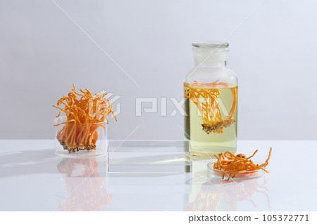 Front view of laboratory equipment containing Cordyceps militaris decorated with transparent podium on a white background. Blank space for display product. Advertising photo Front view of laboratory equipment containing Cordyceps militaris decorated with transparent podium on a white background. Blank space for display product. Advertising photo 105372771