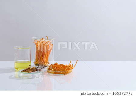 Front view of different types of cordyceps on lab glassware decorated on white background. Empty space for cosmetic product presentation and copy space. Rare herbal medicine of chinese Front view of different types of cordyceps on lab glassware decorated on white background. Empty space for cosmetic product presentation and copy space. Rare herbal medicine of chinese 105372772