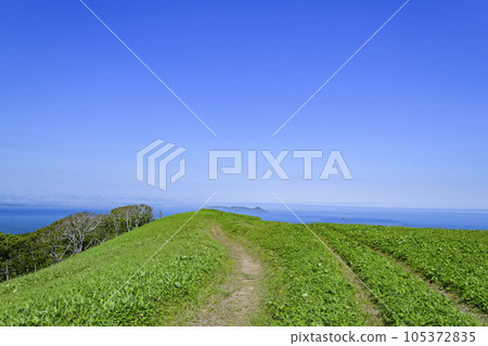 北海道東部的知葉岬 105372835