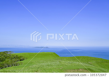 Cape Shireba in eastern Hokkaido 105372847