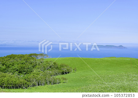 北海道東部的知葉岬 北海道東部的知葉岬 105372853