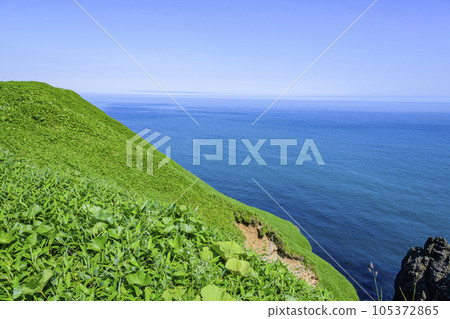 北海道東部的知葉岬 北海道東部的知葉岬 105372865
