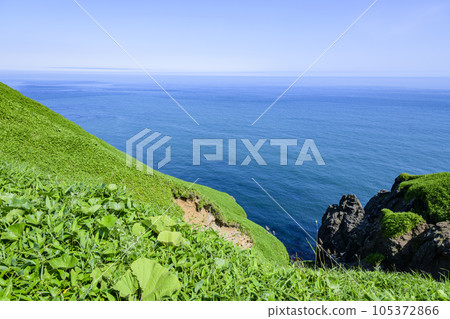 Cape Shireba in eastern Hokkaido 105372866