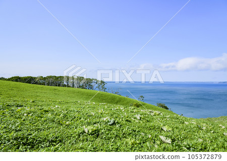 北海道東部的知葉岬 北海道東部的知葉岬 105372879