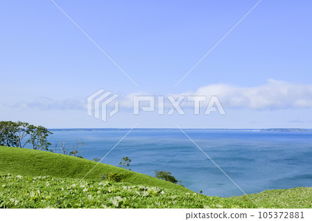 Cape Shireba in eastern Hokkaido Cape Shireba in eastern Hokkaido 105372881