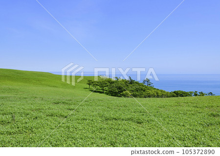 北海道東部的知葉岬 北海道東部的知葉岬 105372890