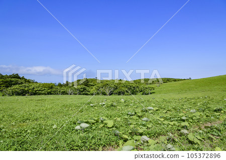 Cape Shireba in eastern Hokkaido Cape Shireba in eastern Hokkaido 105372896