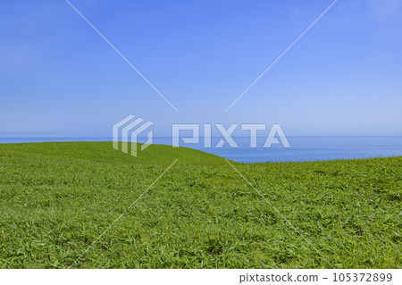Cape Shireba in eastern Hokkaido 105372899