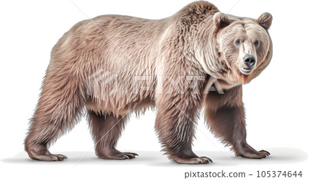 Image of Grizzly - No2-9 - 105374644