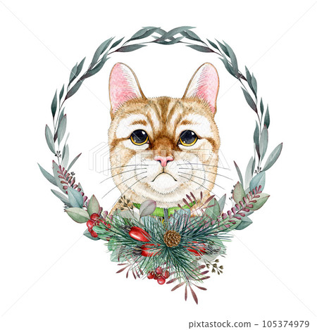 Cute funny cat face with winter season floral wreath decor. Watercolor painted illustration. Funny kitty with winter festive decoration floral element. Cute cat wreath decoration. White background Cute funny cat face with winter season floral wreath decor. Watercolor painted illustration. Funny kitty with winter festive decoration floral element. Cute cat wreath decoration. White background 105374979