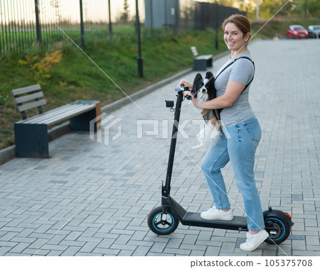 A woman rides an electric scooter with a dog in a backpack. Pappilion Spaniel Continental in a sling. A woman rides an electric scooter with a dog in a backpack. Pappilion Spaniel Continental in a sling. 105375708
