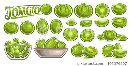 Vector Green Tomato Set Vector Green Tomato Set 105376207