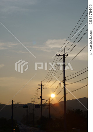 Shine in the sunset Shine in the sunset 105376466