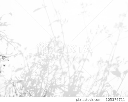 Abtract Overlay Shadow Leaves on Grey Cement Background,Texture Surface Design Vintage Styles Backdrop,Mock Up Free Space Marble Stone Display,Interior Autune Wall Room,Blur White Wall Loft Empty Gray Abtract Overlay Shadow Leaves on Grey Cement Background,Texture Surface Design Vintage Styles Backdrop,Mock Up Free Space Marble Stone Display,Interior Autune Wall Room,Blur White Wall Loft Empty Gray 105376711