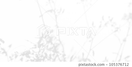 Abtract Overlay Shadow Leaves on Grey Cement Background,Texture Surface Design Vintage Styles Backdrop,Mock Up Free Space Marble Stone Display,Interior Autune Wall Room,Blur White Wall Loft Empty Gray Abtract Overlay Shadow Leaves on Grey Cement Background,Texture Surface Design Vintage Styles Backdrop,Mock Up Free Space Marble Stone Display,Interior Autune Wall Room,Blur White Wall Loft Empty Gray 105376712