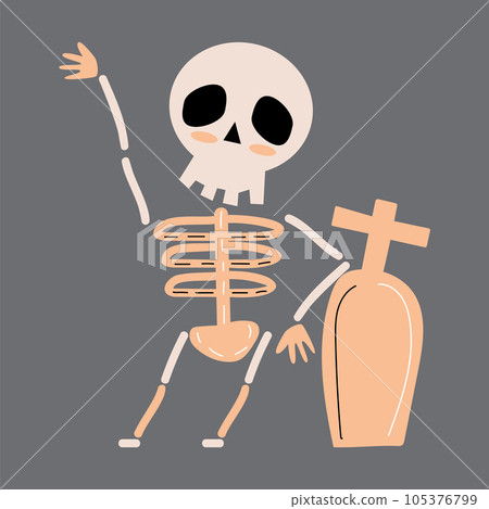 Skeleton ghost . Halloween cartoon characters . Vector . Skeleton ghost . Halloween cartoon characters . Vector . 105376799