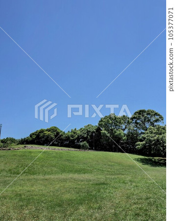 Clear blue sky and park 105377071