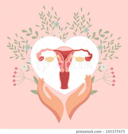 Female uterus in a heart with flowers in hands. Medical poster, banner, vector Female uterus in a heart with flowers in hands. Medical poster, banner, vector 105377473