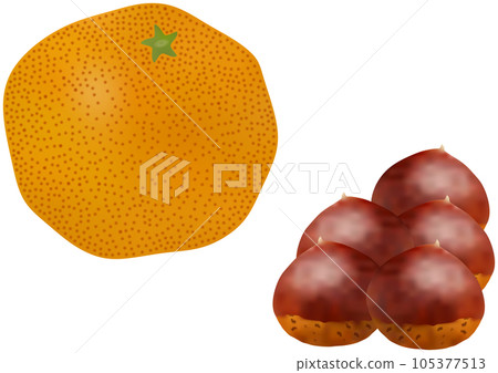 "Chestnut" and "Waseda mandarin orange" 105377513