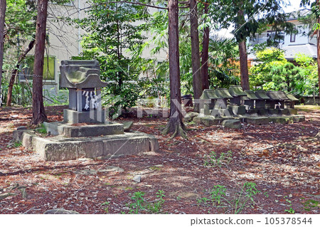 玉尾神社(甲府) 玉尾神社(甲府) 105378544