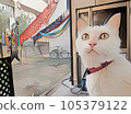 一隻貓 105379122