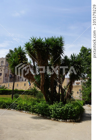 Norman Palace or Palazzo dei Normanni the Royal Palace at Palermo at Italy Norman Palace or Palazzo dei Normanni the Royal Palace at Palermo at Italy 105379229
