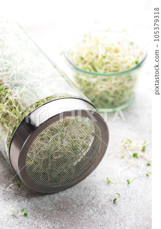 Microgreens grown in a jar. 105379318
