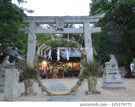Chinowa kuguri chinowa, a large chinowa attached to the torii gate of a shrine Chinowa kuguri chinowa, a large chinowa attached to the torii gate of a shrine 105379775