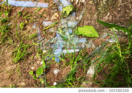 Shards of broken glass in green grass Shards of broken glass in green grass 105380100