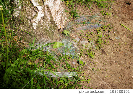 Shards of broken glass in green grass Shards of broken glass in green grass 105380101