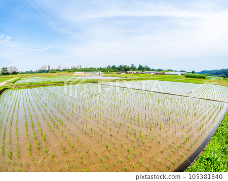 用對角魚眼鏡頭拍攝的播種後稻田的美麗景色,東京多摩八王子的原始景觀 用對角魚眼鏡頭拍攝的播種後稻田的美麗景色,東京多摩八王子的原始景觀 105381840