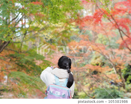 看秋葉的婦女 105381986