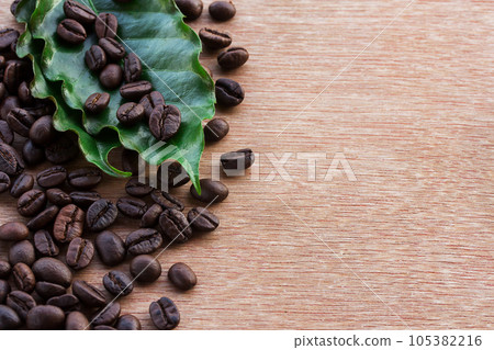 Close up coffee beans and fresh green leaf 105382216