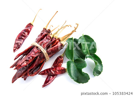 kaffir lime leaves and dry chili on white background kaffir lime leaves and dry chili on white background 105383424