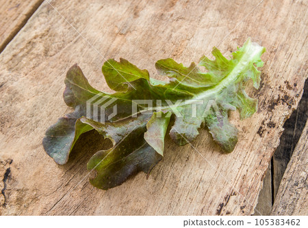 Fresh lettuce leaves on a wooden background Fresh lettuce leaves on a wooden background 105383462