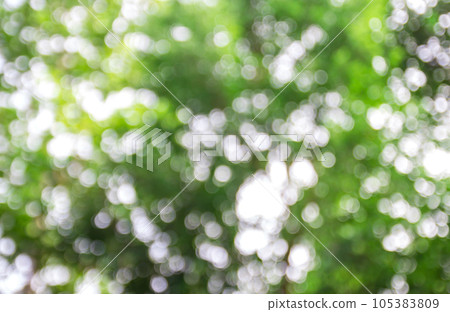 Sunny abstract green nature background 105383809