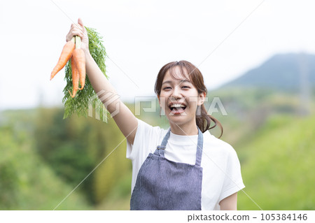 Cute woman harvesting vegetables Cute woman harvesting vegetables 105384146
