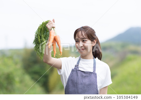 Cute woman harvesting vegetables Cute woman harvesting vegetables 105384149