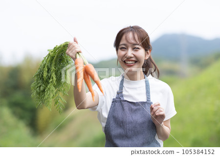 Cute woman harvesting vegetables Cute woman harvesting vegetables 105384152