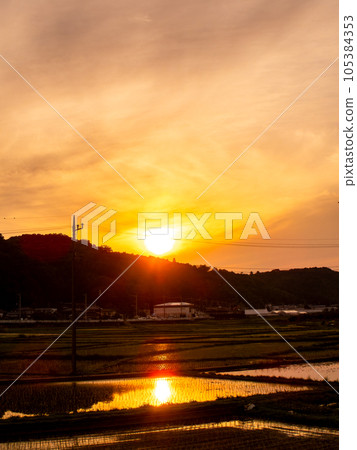 用對角魚眼鏡頭拍攝的夕陽照射下的稻田的美麗景色，東京多摩八王子的原始景觀 105384353