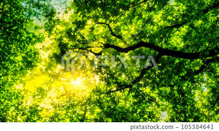 AI image forest image AI image forest image 105384641