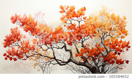 autumn foliage 105384652