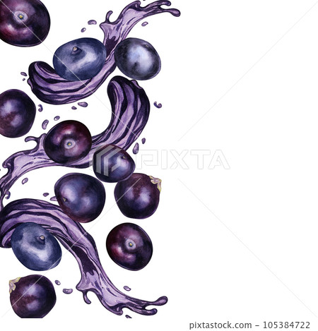 Board of acai berries and juice splash watercolor illustration isolated on white. Exotic amazon small purple berries, tropical fruit hand drawn. Design element for packaging, label, kitchen utensil 105384722