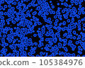 Cocci bacteria strain 105384976
